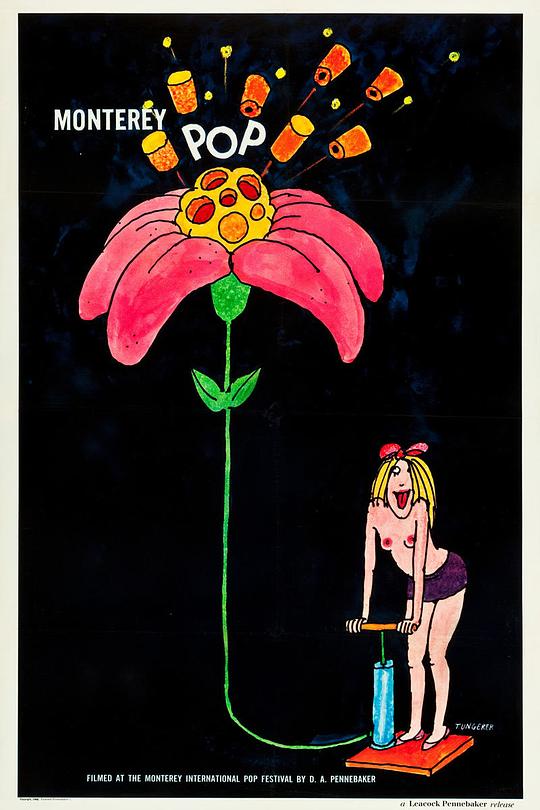 蒙特雷流行音乐节（真彩）